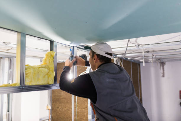 Best Insulation Maintenance and Repair in Steubenville, OH